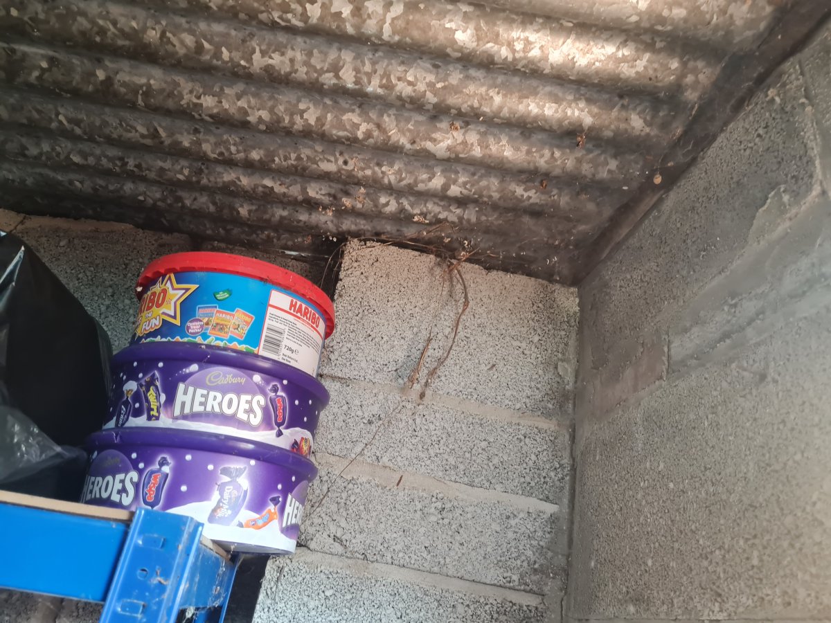 Shed - Inside - 03.jpg