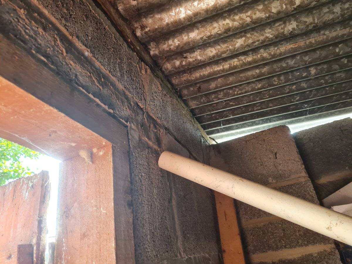Shed - Inside - 04.jpg