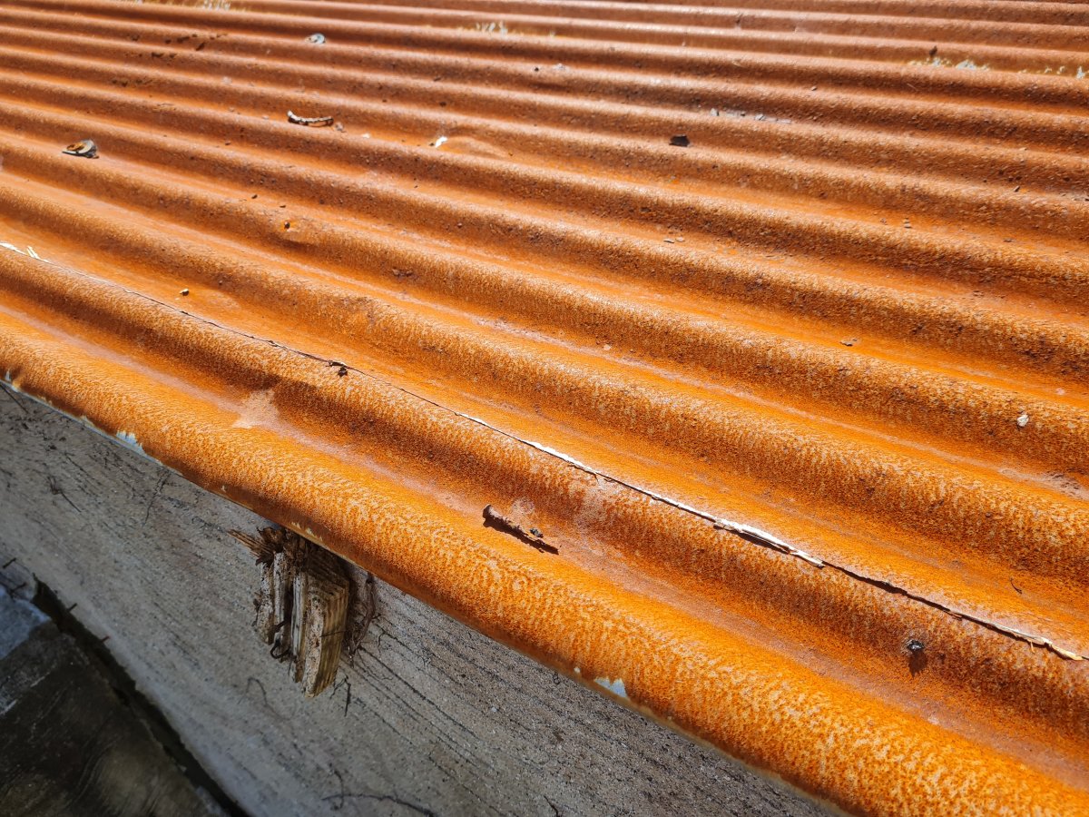 Shed - Outside - Roof 1.jpg