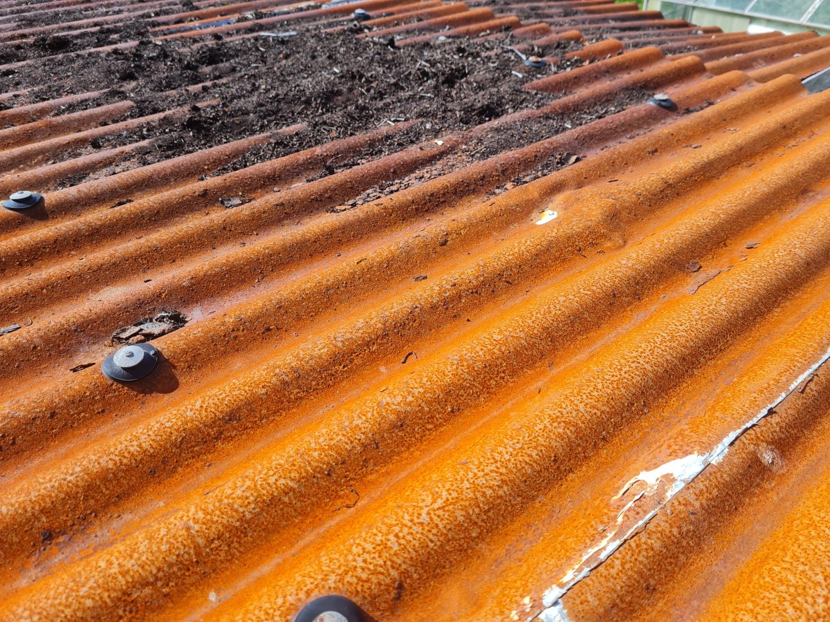 Shed - Outside - Roof 2.jpg