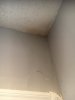 Kitchen Wall.JPG