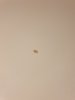 20190318_020453.jpg