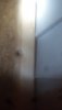 1578686381977643957373.jpg