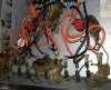 MICE in Indoor unit- 21.jpg