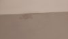 Damp patch bedroom 1.jpeg