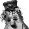 gorgon